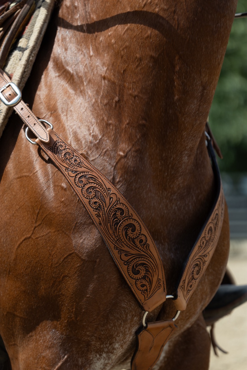 Horse - Donny Master Tannery