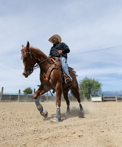 A Cavallo - Chi Siamo - Donny Master Tannery